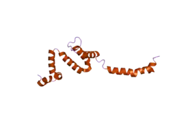 2es0: Structure of the regulator of G-protein signaling domain of RGS6