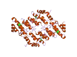 2f37: Crystal structure of the ankyrin repeat domain of human TRPV2