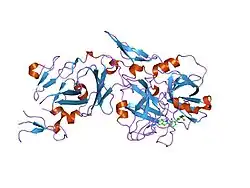 2flr: Novel 5-Azaindole Factor VIIa Inhibitors