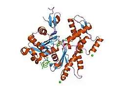 2fxu: X-ray Structure of Bistramide A- Actin Complex at 1.35 A resolution.