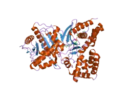 2fy5: Structures of ligand bound human choline acetyltransferase provide insight into regulation of acetylcholine synthesis