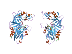 2g1s: Ketopiperazine-Based Renin Inhibitors: Optimization of the C Ring