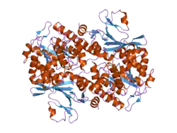 2g96: Crystal Structure of Visfatin/Pre-B Cell Colony Enhancing Factor 1/Nicotinamide Phosphoribosyltransferase In Complex with Nicotinamide Mononucleotide