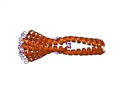 2g9j: Complex of TM1a(1-14)Zip with TM9a(251-284): a model for the polymerization domain (""overlap region"") of tropomyosin