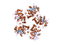 2ger: Crystal Structure and Oxidative Mechanism of Human Pyrroline-5-carboxylate Reductase