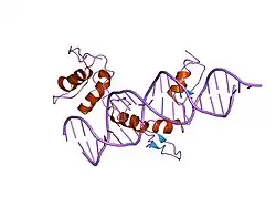 2gli: FIVE-FINGER GLI/DNA COMPLEX