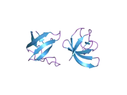 2gnc: Crystal structure of srGAP1 SH3 domain in the slit-robo signaling pathway
