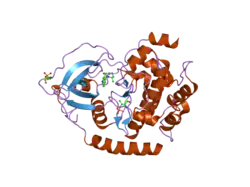 2gnl: PKA threefold mutant model of Rho-kinase with inhibitor H-1152P