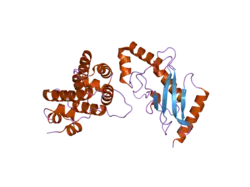 2gro: Crystal Structure of human RanGAP1-Ubc9-N85Q