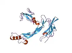 2h64: Crystal structure of a ternary ligand-receptor complex of BMP-2