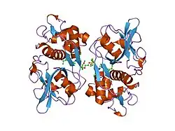 2h7j: Crystal Structure of Cathepsin S in complex with a Nonpeptidic Inhibitor.