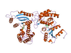 2hct: Acidic residues at the active sites of CD38 and ADP-ribosyl cyclase determine NAAPD synthesis and hydrolysis activities
