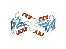 2he2: Crystal structure of the 3rd PDZ domain of human discs large homologue 2, DLG2