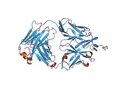 2hfg: Crystal structure of hBR3 bound to CB3s-Fab