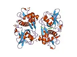 2hhn: Cathepsin S in complex with non covalent arylaminoethyl amide.