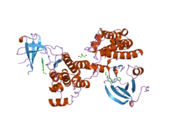 2hwo: Crystal structure of Src kinase domain in complex with covalent inhibitor