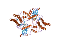 2ivs: CRYSTAL STRUCTURE OF NON-PHOSPHORYLATED RET TYROSINE KINASE DOMAIN