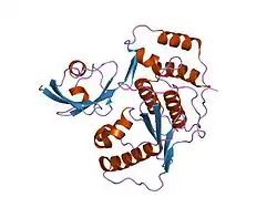 2iyd: SENP1 COVALENT COMPLEX WITH SUMO-2