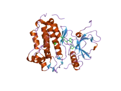 2j5e: CRYSTAL STRUCTURE OF EGFR KINASE DOMAIN IN COMPLEX WITH AN IRREVERSIBLE INHIBITOR 13-JAB