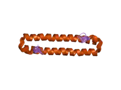 2jo8: Solution structure of C-terminal domain of human mammalian sterile 20-like kinase 1 (MST1)