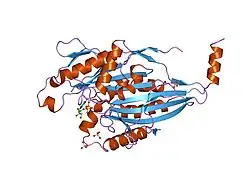 2kin: KINESIN (MONOMERIC) FROM RATTUS NORVEGICUS
