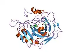 2nng: Structure of inhibitor binding to Carbonic Anhydrase II