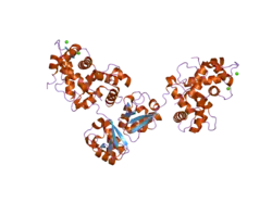 2nz0: Crystal structure of potassium channel Kv4.3 in complex with its regulatory subunit KChIP1 (CASP Target)