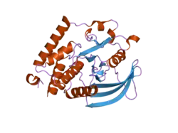 2oc3: Crystal Structure of the Catalytic Domain of Human Protein Tyrosine Phosphatase non-receptor Type 18