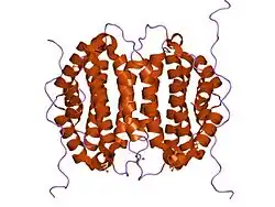 2oie: Crystal structure of RS21-C6 core segment RSCUT