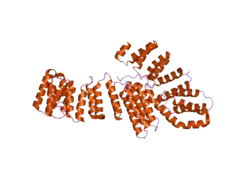 2ooe: Crystal structure of HAT domain of murine CstF-77