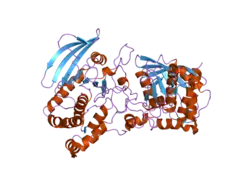 2pi7: Structure of the catalytic domain of the chick retinal neurite inhibitor-Receptor Protein Tyrosine Phosphatase CRYP-2/cPTPRO