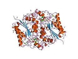 2qr2: HUMAN QUINONE REDUCTASE TYPE 2, COMPLEX WITH MENADIONE