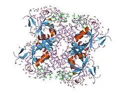 2rmc: Crystal structure of murine cyclophilin C complexed with immunosuppressive drug cyclosporin A