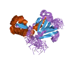 2rnr: Solution structure of the complex between TFIIE alpha C-terminal acidic domain and TFIIH p62 PH domain