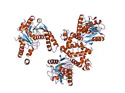 3hdh: PIG HEART SHORT CHAIN L-3-HYDROXYACYL COA DEHYDROGENASE REVISITED: SEQUENCE ANALYSIS AND CRYSTAL STRUCTURE DETERMINATION