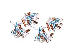3ran: CANINE GDP-RAN Q69L MUTANT