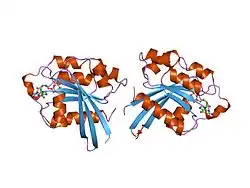 3rap: The small G protein Rap2 in a non catalytic complex with GTP