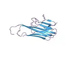 4tsv: HIGH RESOLUTION CRYSTAL STRUCTURE OF A HUMAN TNF-ALPHA MUTANT