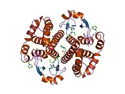 5gss: HUMAN GLUTATHIONE S-TRANSFERASE P1-1, COMPLEX WITH GLUTATHIONE