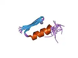 5znf: ALTERNATING ZINC FINGERS IN THE HUMAN MALE ASSOCIATED PROTEIN ZFY: 2D NMR STRUCTURE OF AN EVEN FINGER AND IMPLICATIONS FOR ""JUMPING-LINKER"" DNA RECOGNITION