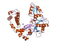 9icn: DNA POLYMERASE BETA (E.C.2.7.7.7)/DNA COMPLEX + 2',3'-DIDEOXYCYTIDINE-5'-TRIPHOSPHATE, SOAKED IN THE PRESENCE OF DDCTP AND MGCL2