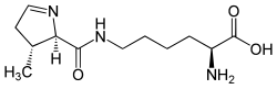 L-Pyrrolysine(Pyl&nbsp;/&nbsp;O)