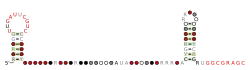 RAGATH-28 Secondary structure taken from the Rfam database. Family RF03052