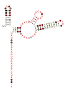 RAGATH-34 Secondary structure taken from the Rfam database. Family RF03103