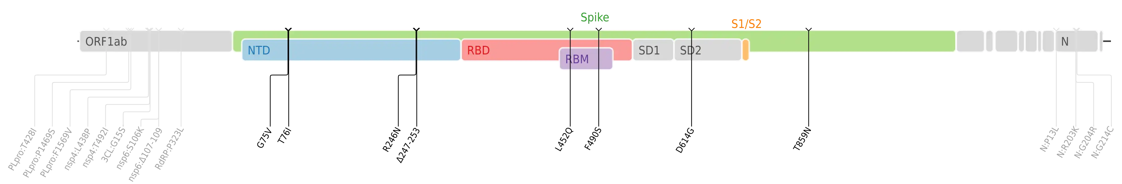 Amino acid mutations of SARS-CoV-2 Lambda variant plotted on a genome map of SARS-CoV-2 with a focus on the spike.