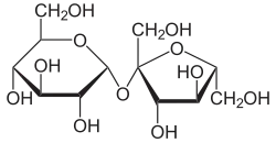 Sucrose is made up of a glucose monomer (left), and a fructose monomer (right).