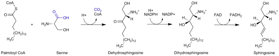 Sphingosine synthesis