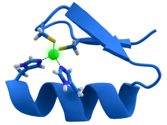 A twisted band, with one side painted blue and another gray. Its two ends are connected through some chemical species to a green atom (zinc).