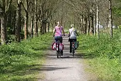 Mother and daughter bicycling together, 2012.
