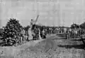 European immigrants working in a coffee plantation in the State of São Paulo.